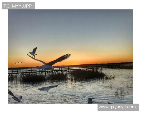 深度对话周磊探讨足球人生与梦想追逐的心路历程